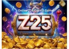 Z25: The Ultimate Online Playing Experience